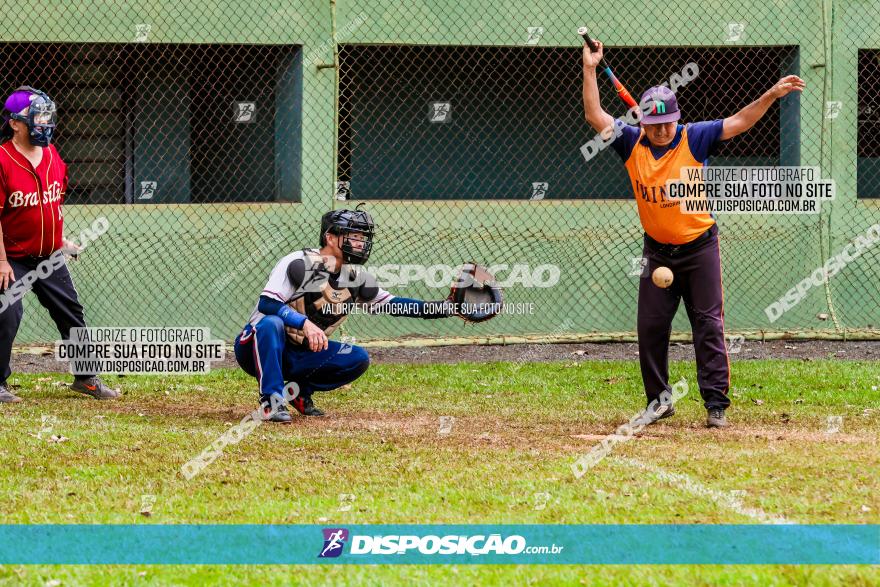 XXXII Brasileirão de Softbol