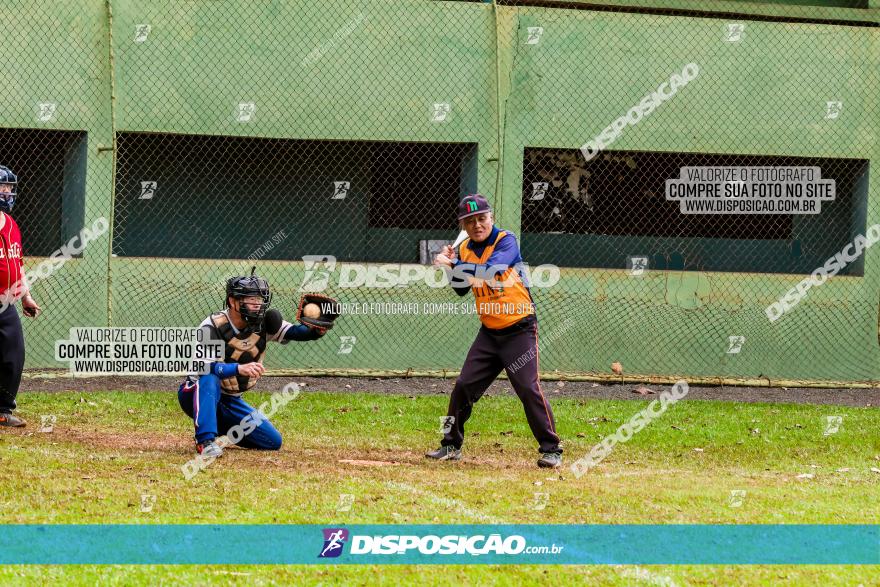 XXXII Brasileirão de Softbol