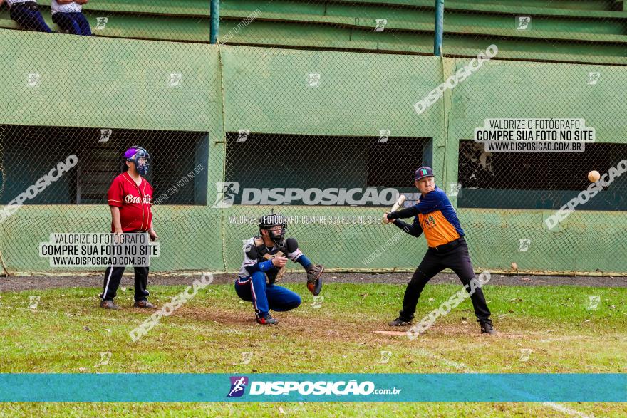 XXXII Brasileirão de Softbol