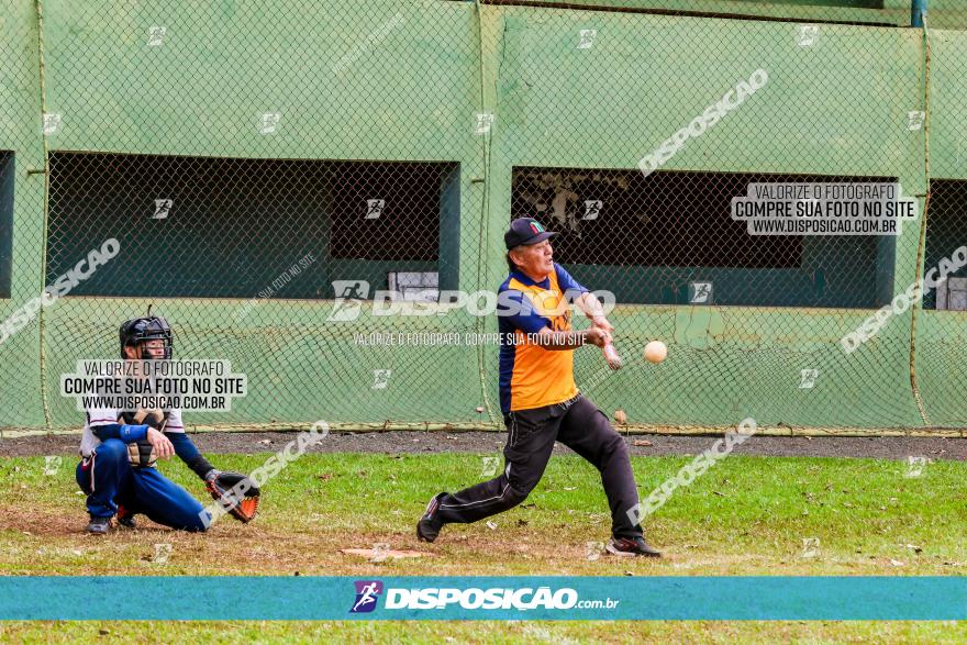 XXXII Brasileirão de Softbol