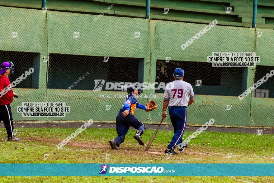 XXXII Brasileirão de Softbol