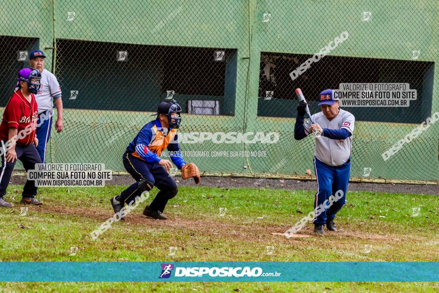 XXXII Brasileirão de Softbol