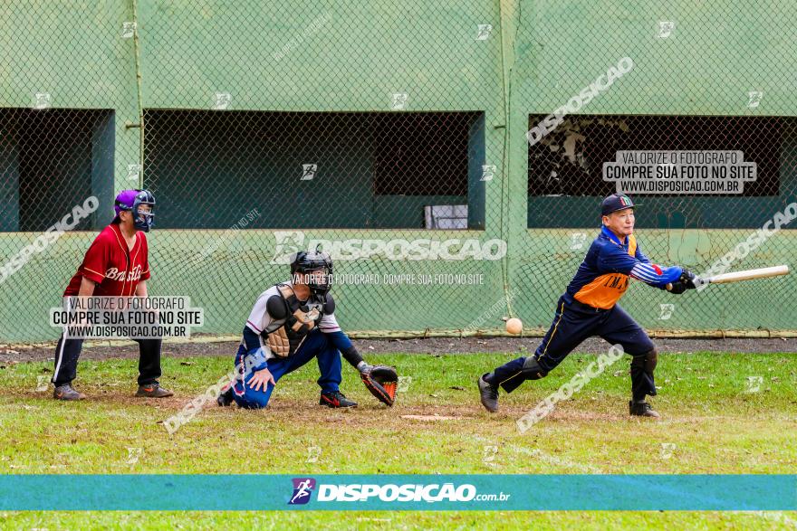 XXXII Brasileirão de Softbol