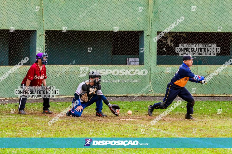 XXXII Brasileirão de Softbol