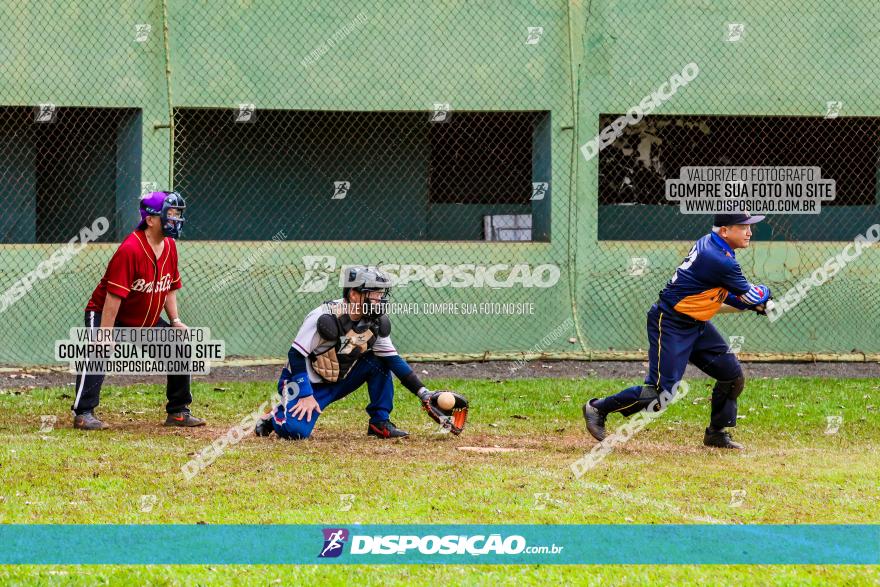 XXXII Brasileirão de Softbol