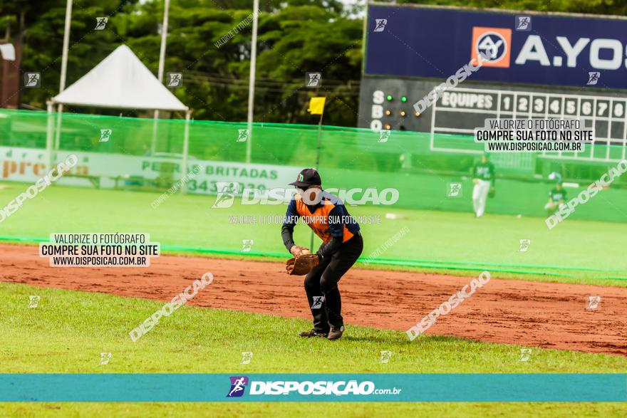 XXXII Brasileirão de Softbol