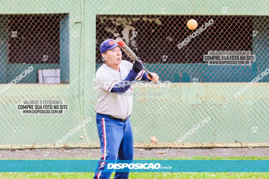 XXXII Brasileirão de Softbol