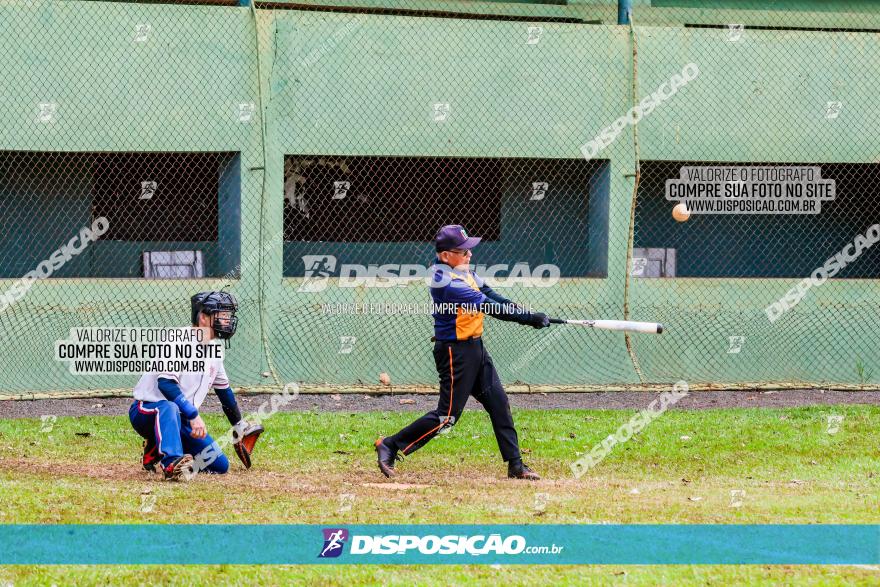 XXXII Brasileirão de Softbol