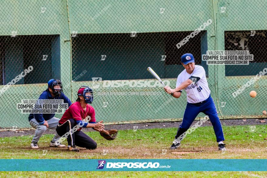 XXXII Brasileirão de Softbol