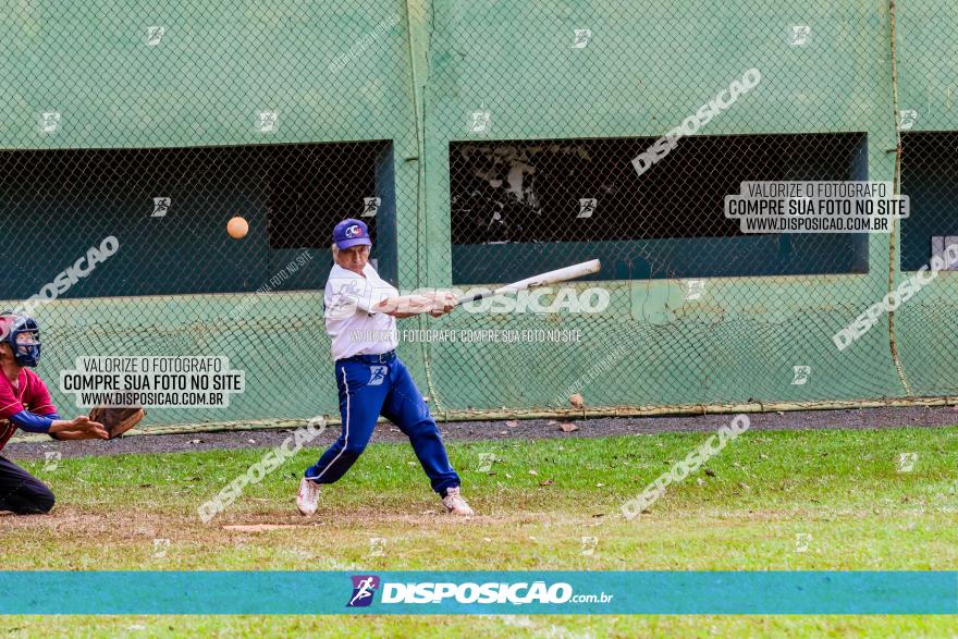 XXXII Brasileirão de Softbol