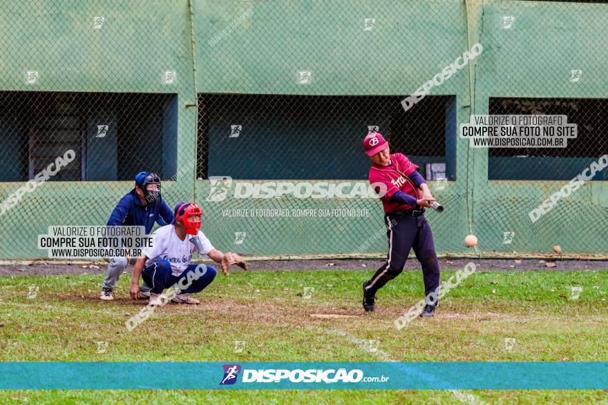 XXXII Brasileirão de Softbol