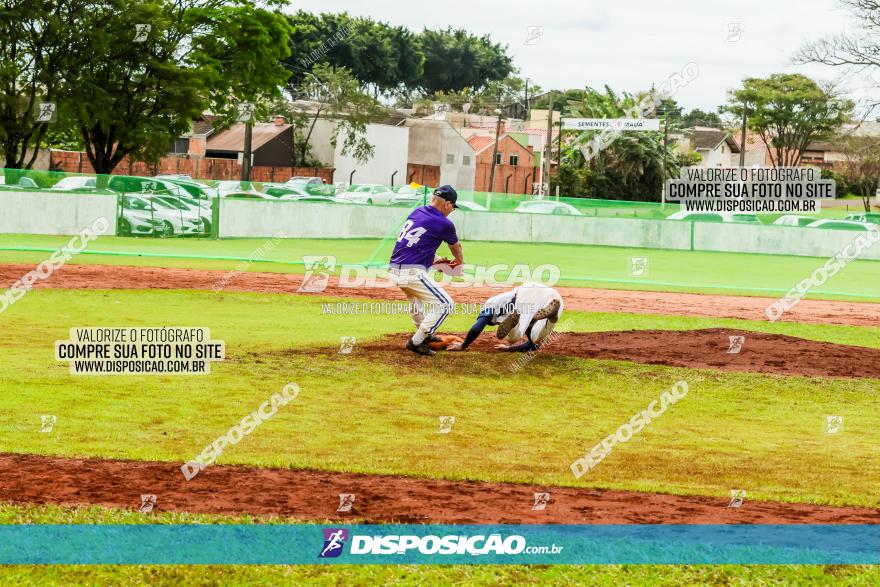 XXXII Brasileirão de Softbol