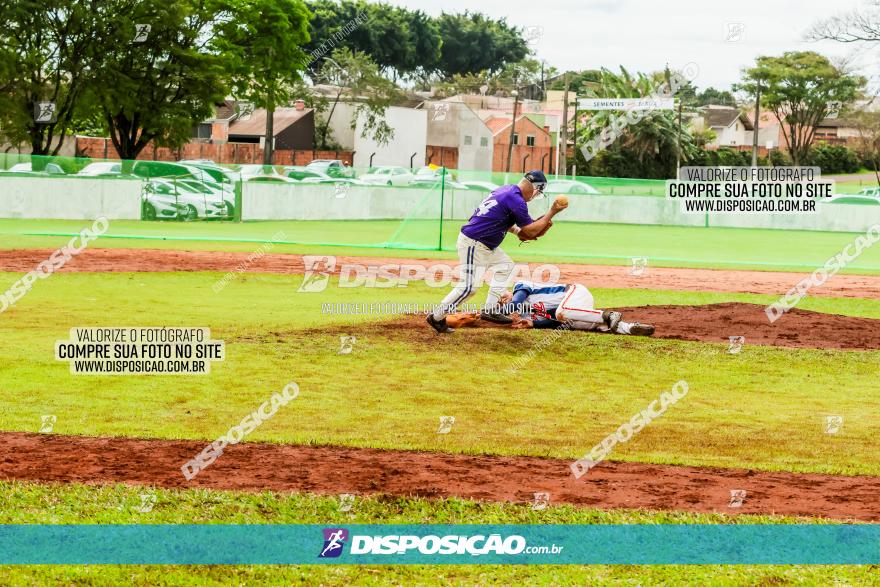 XXXII Brasileirão de Softbol