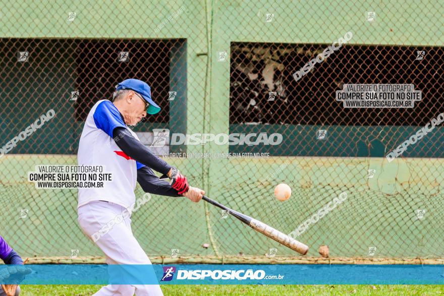 XXXII Brasileirão de Softbol