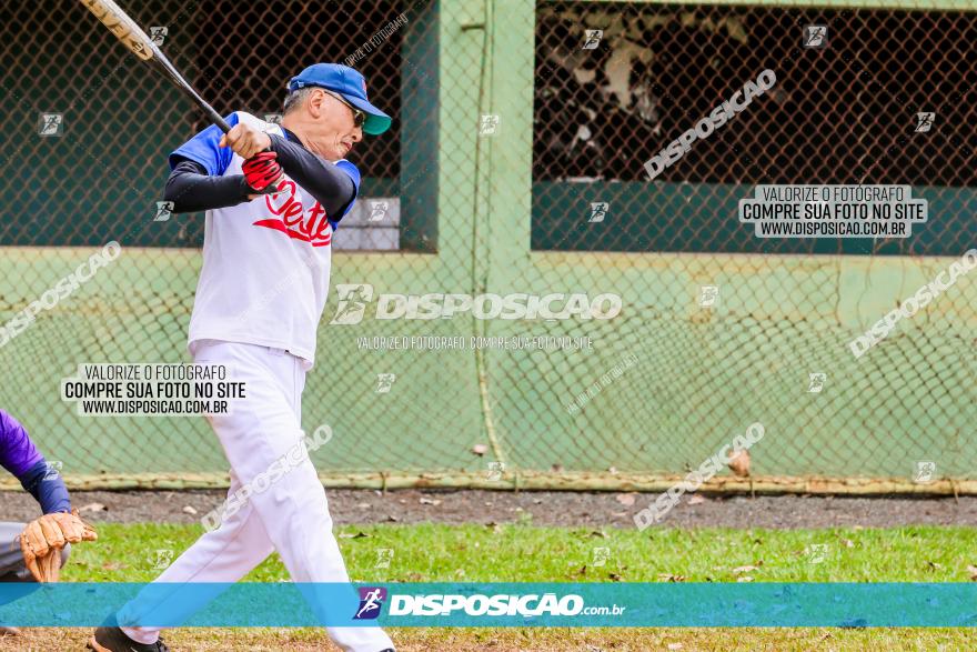 XXXII Brasileirão de Softbol