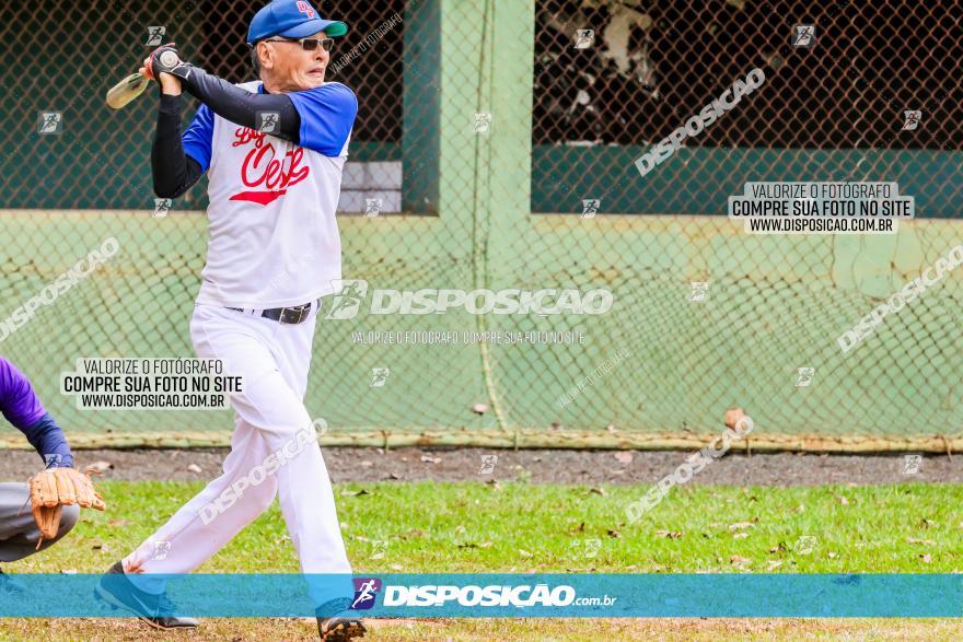 XXXII Brasileirão de Softbol