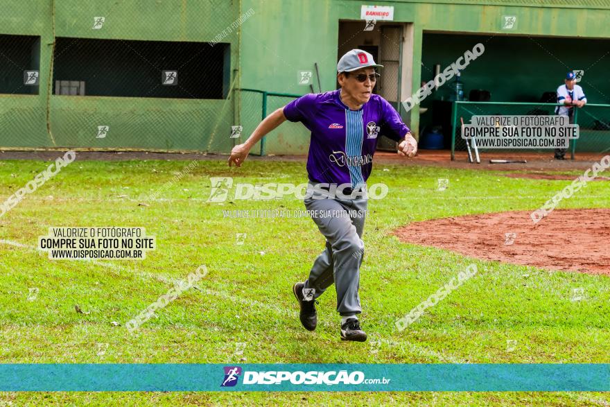 XXXII Brasileirão de Softbol