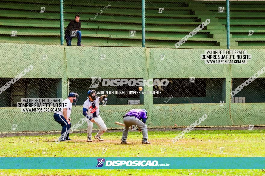 XXXII Brasileirão de Softbol