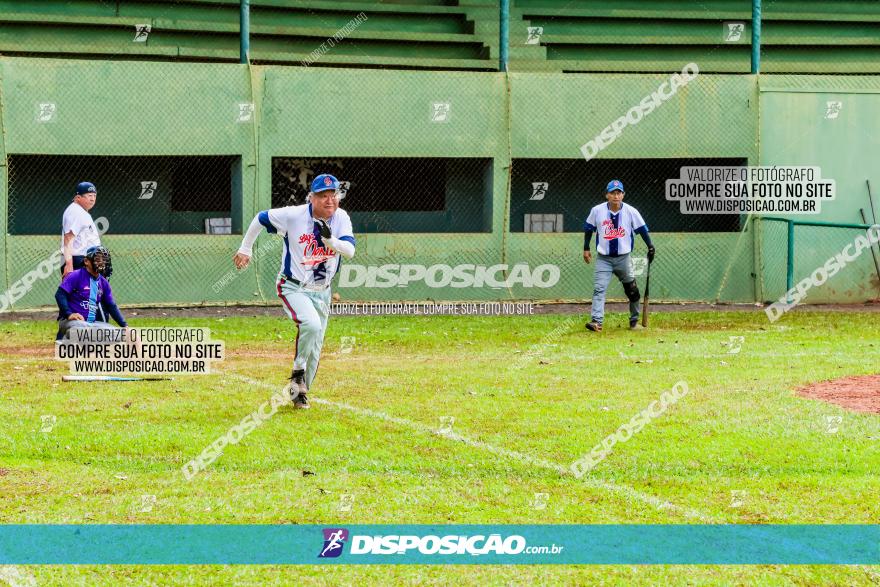 XXXII Brasileirão de Softbol