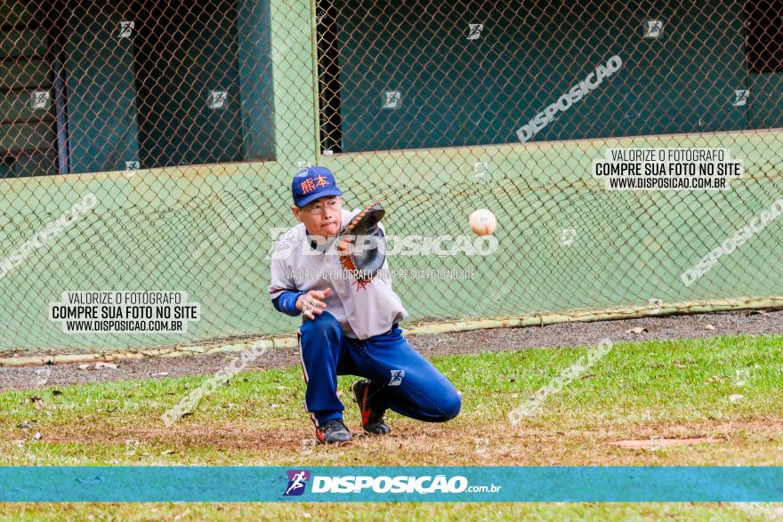 XXXII Brasileirão de Softbol