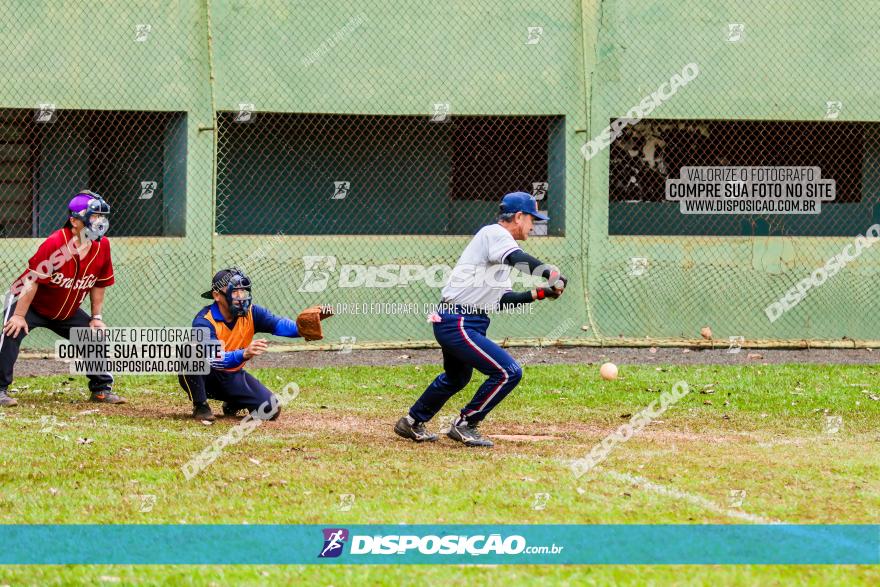 XXXII Brasileirão de Softbol