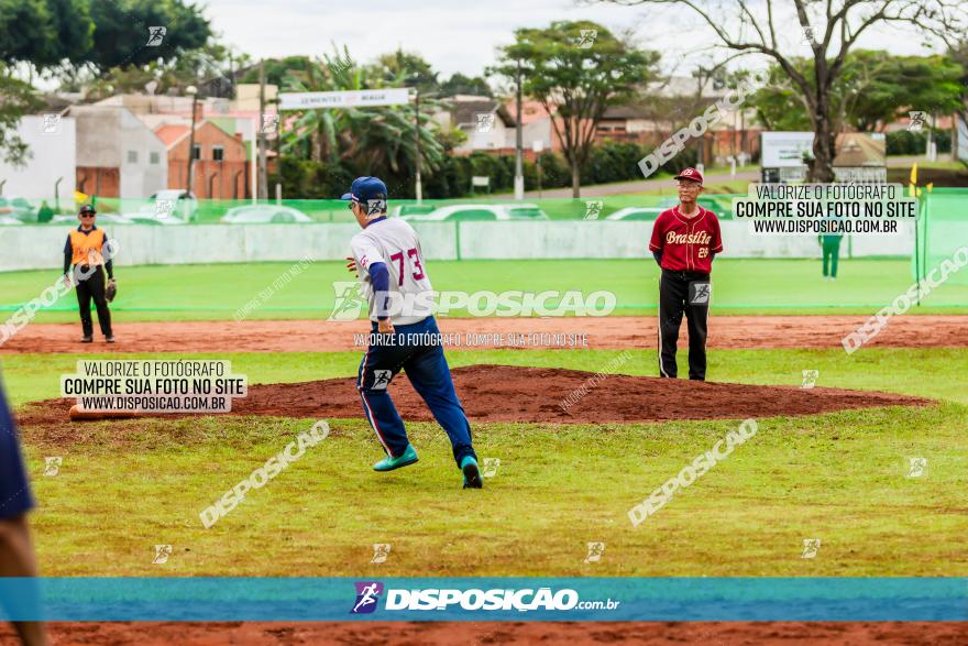 XXXII Brasileirão de Softbol