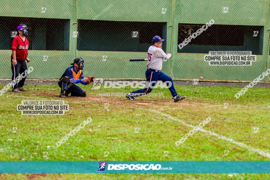 XXXII Brasileirão de Softbol