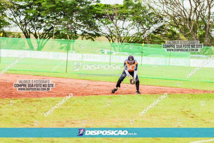 XXXII Brasileirão de Softbol