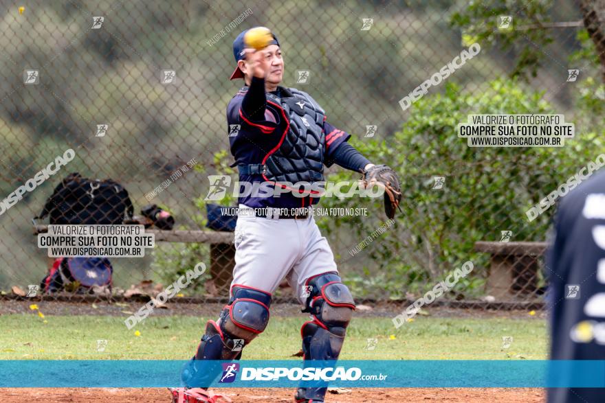 XXXII Brasileirão de Softbol