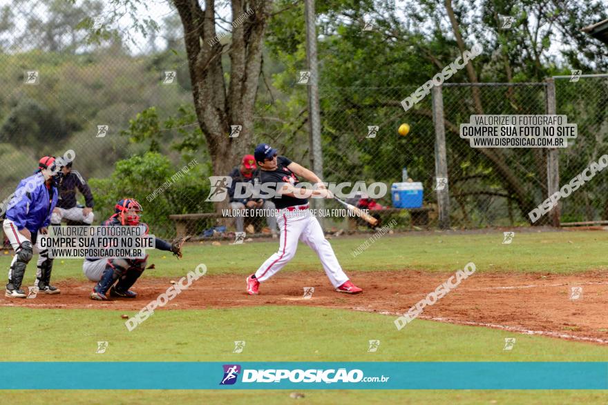 XXXII Brasileirão de Softbol