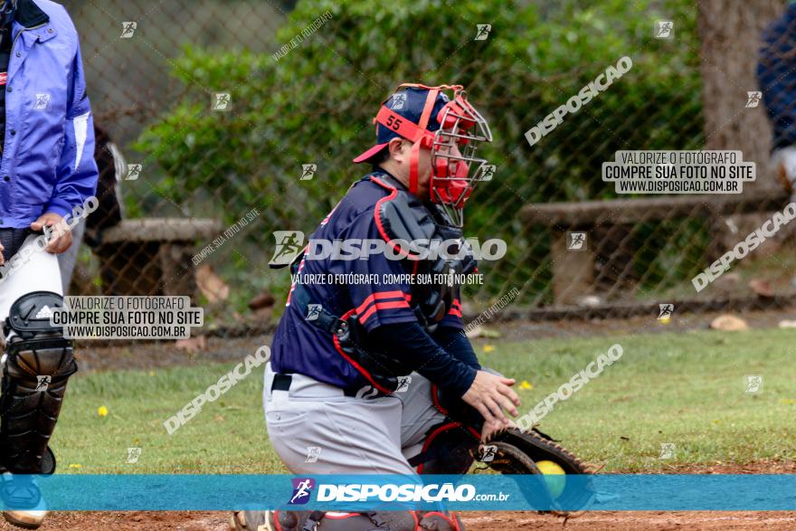 XXXII Brasileirão de Softbol