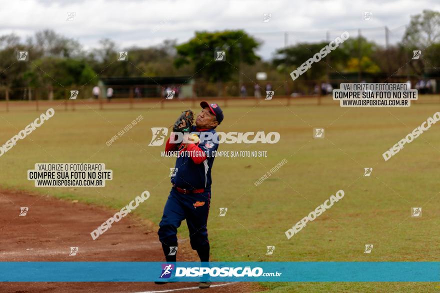 XXXII Brasileirão de Softbol