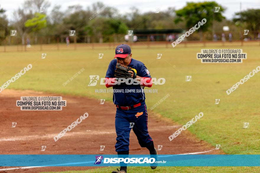 XXXII Brasileirão de Softbol