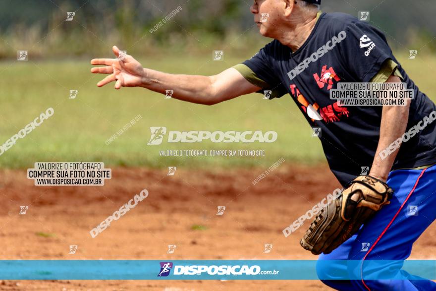 XXXII Brasileirão de Softbol