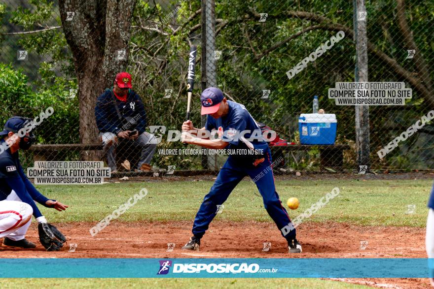 XXXII Brasileirão de Softbol