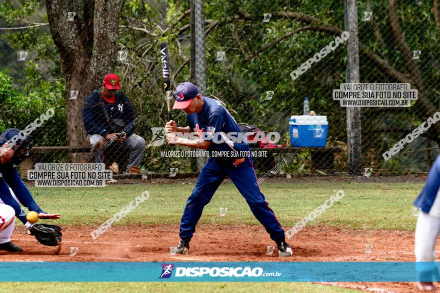 XXXII Brasileirão de Softbol