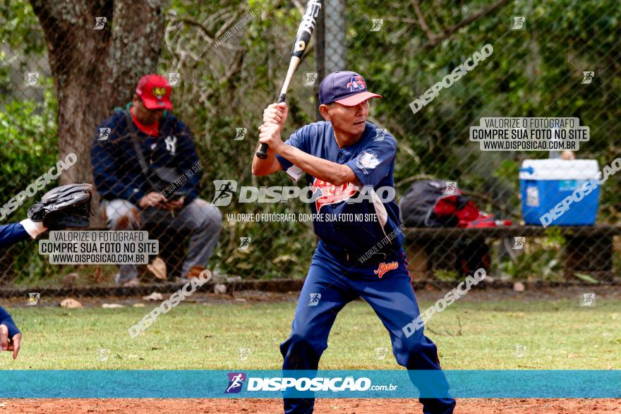 XXXII Brasileirão de Softbol