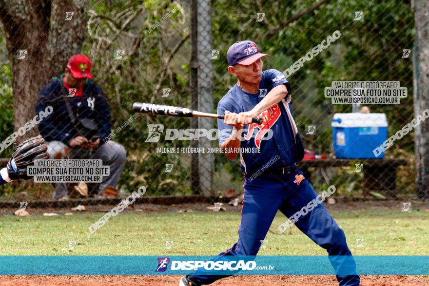 XXXII Brasileirão de Softbol