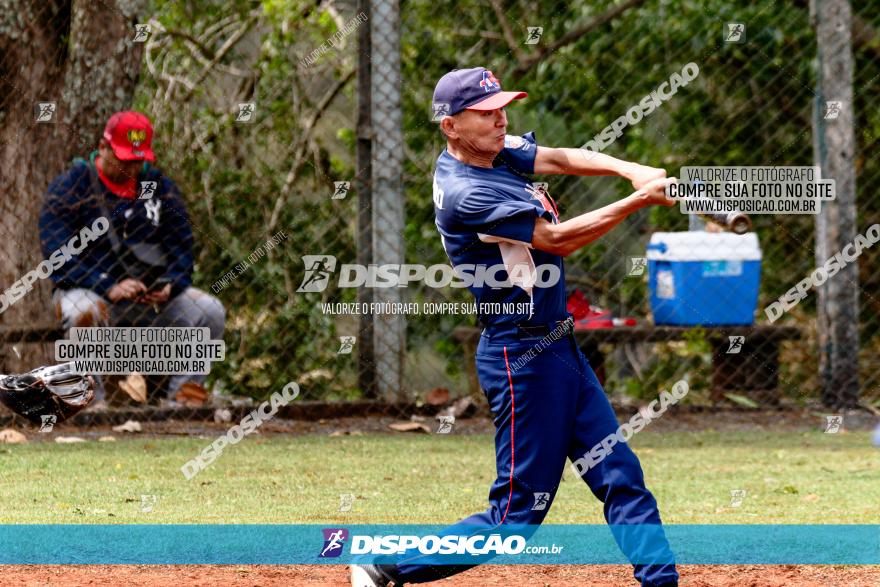 XXXII Brasileirão de Softbol