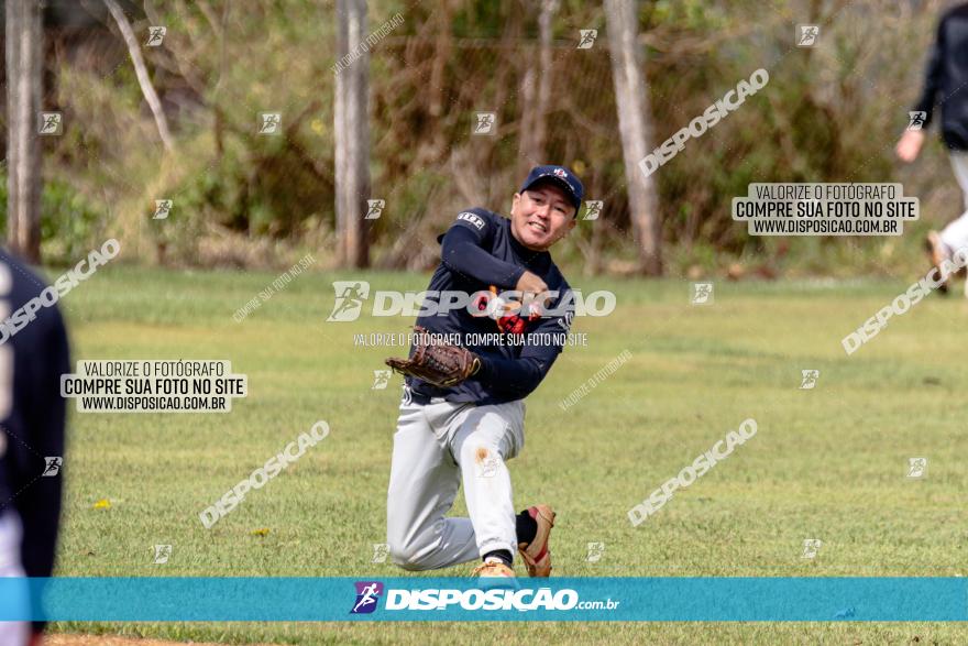 XXXII Brasileirão de Softbol