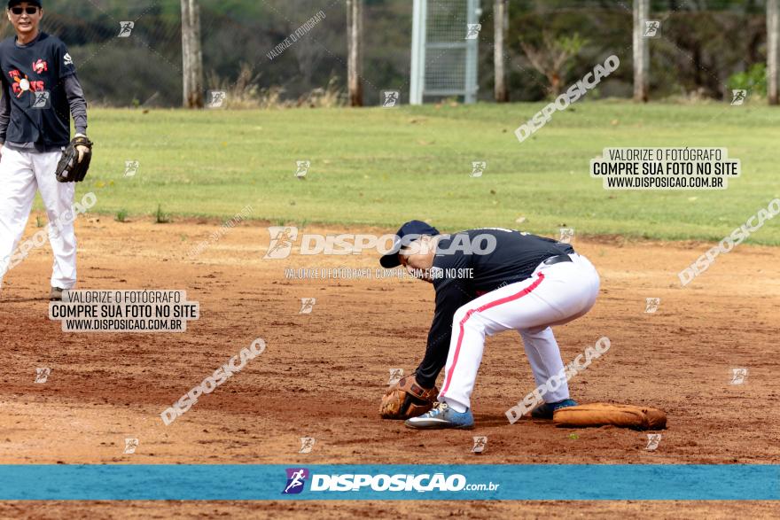 XXXII Brasileirão de Softbol