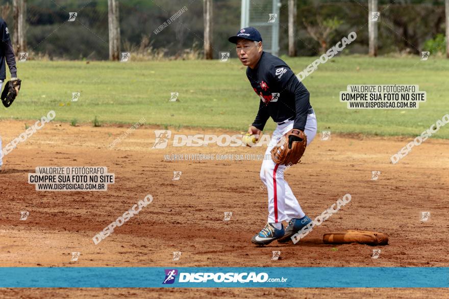 XXXII Brasileirão de Softbol