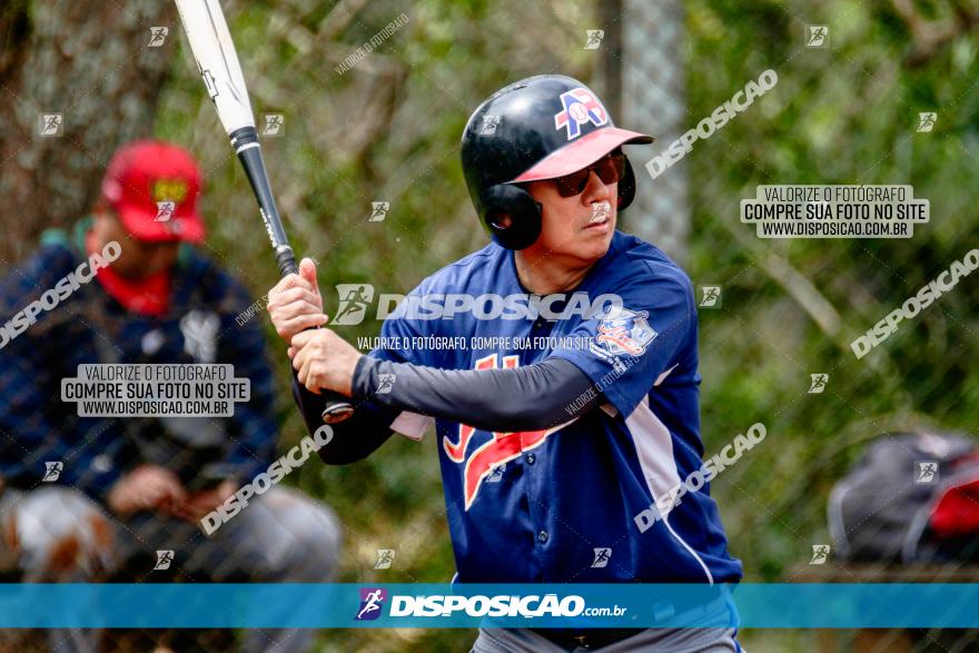 XXXII Brasileirão de Softbol