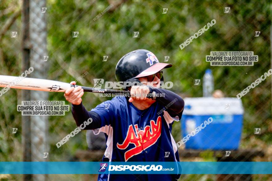 XXXII Brasileirão de Softbol