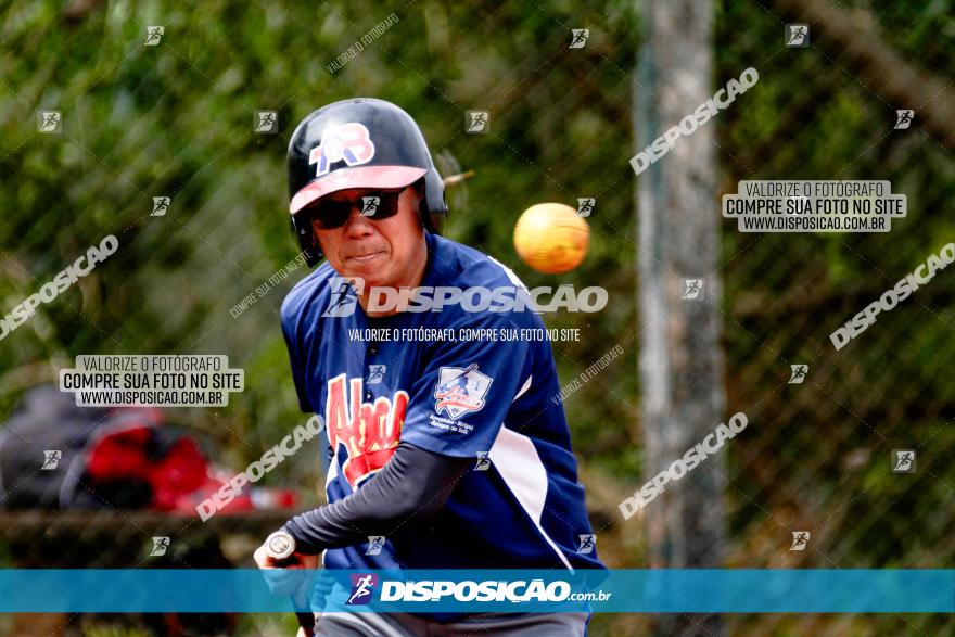 XXXII Brasileirão de Softbol