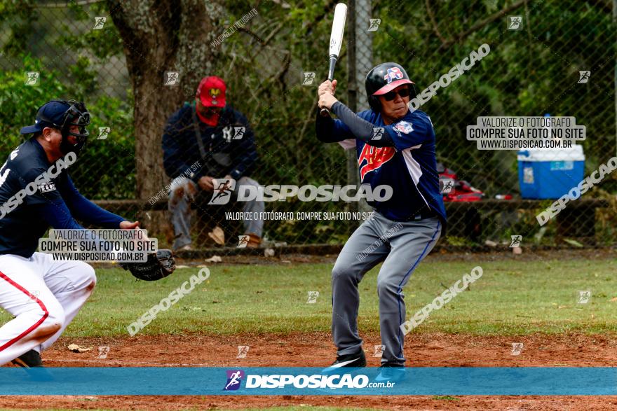 XXXII Brasileirão de Softbol