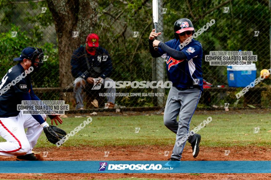 XXXII Brasileirão de Softbol