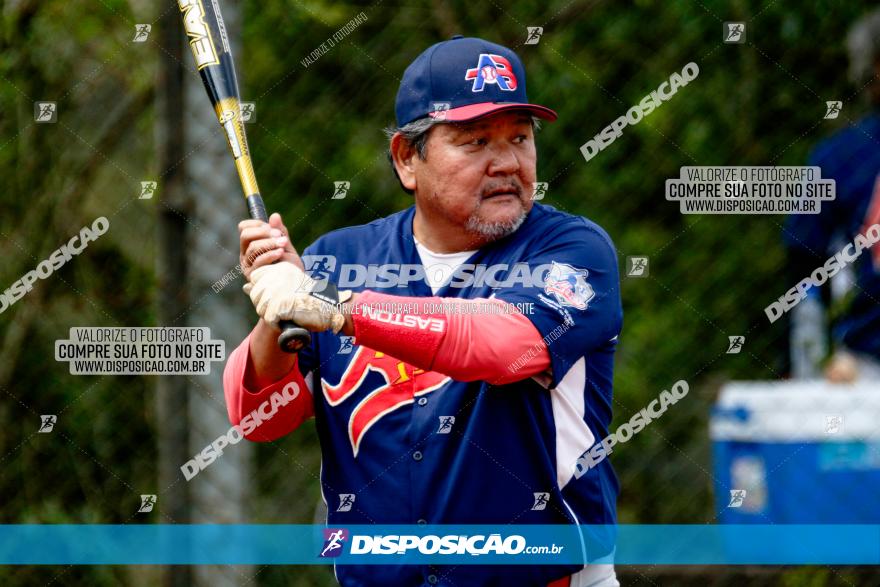 XXXII Brasileirão de Softbol