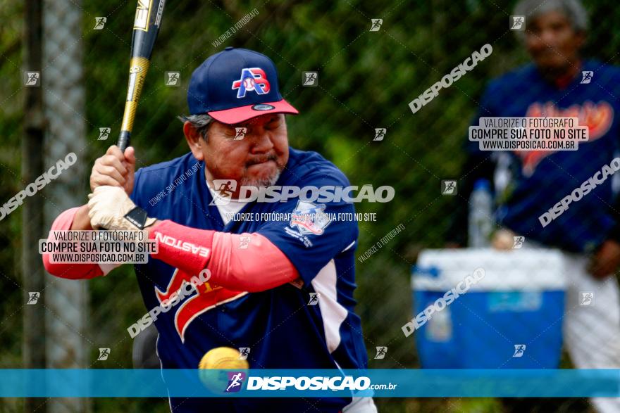 XXXII Brasileirão de Softbol