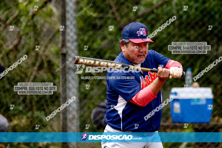 XXXII Brasileirão de Softbol